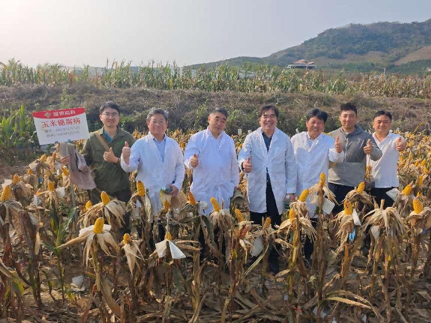 圖片14.png 圖片14.png